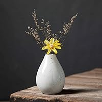 Amazon.co.jp: フラワーベース ドライフラワー 花瓶 かわいい タイプ37